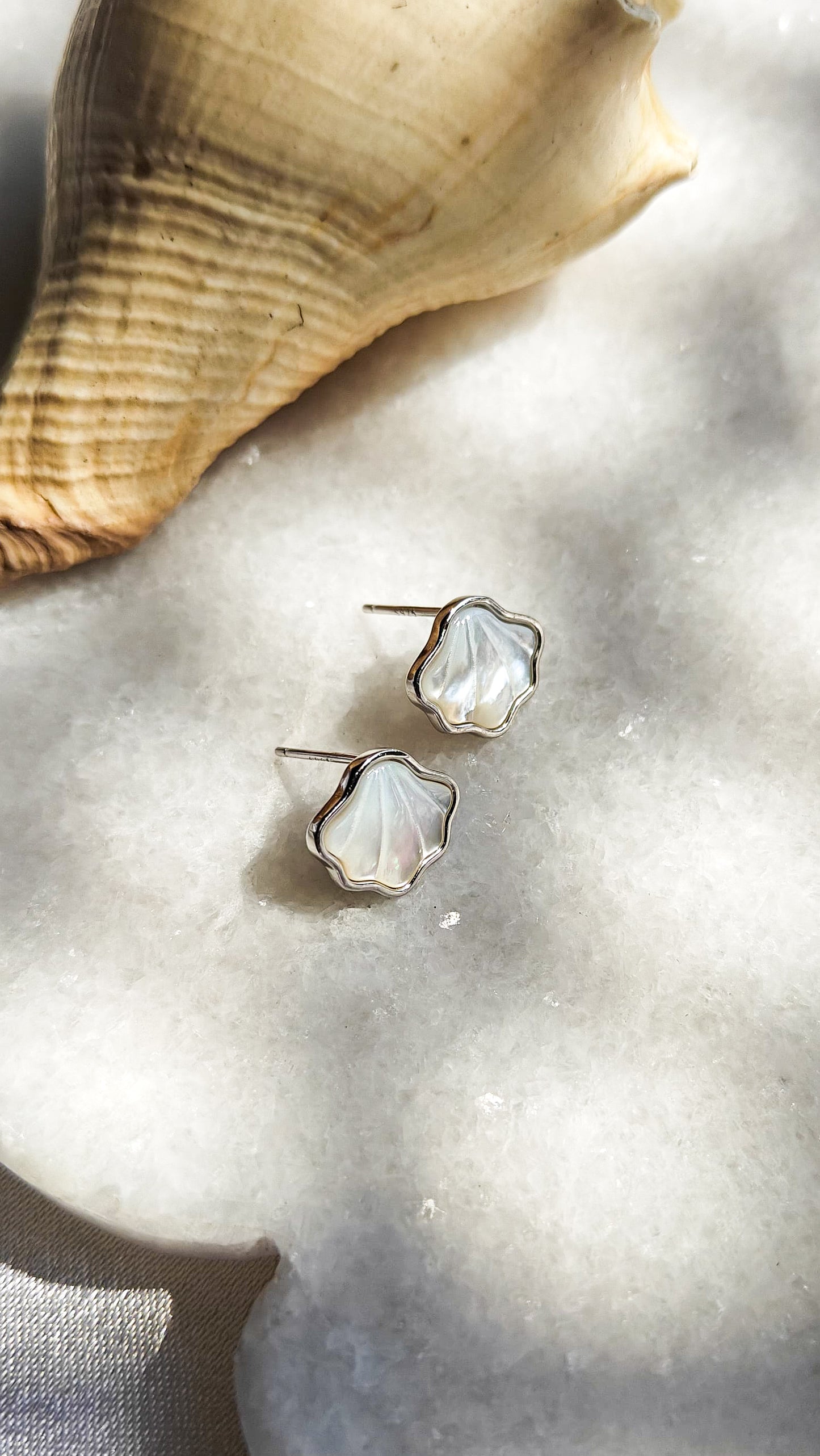 SHELL EARRINGS
